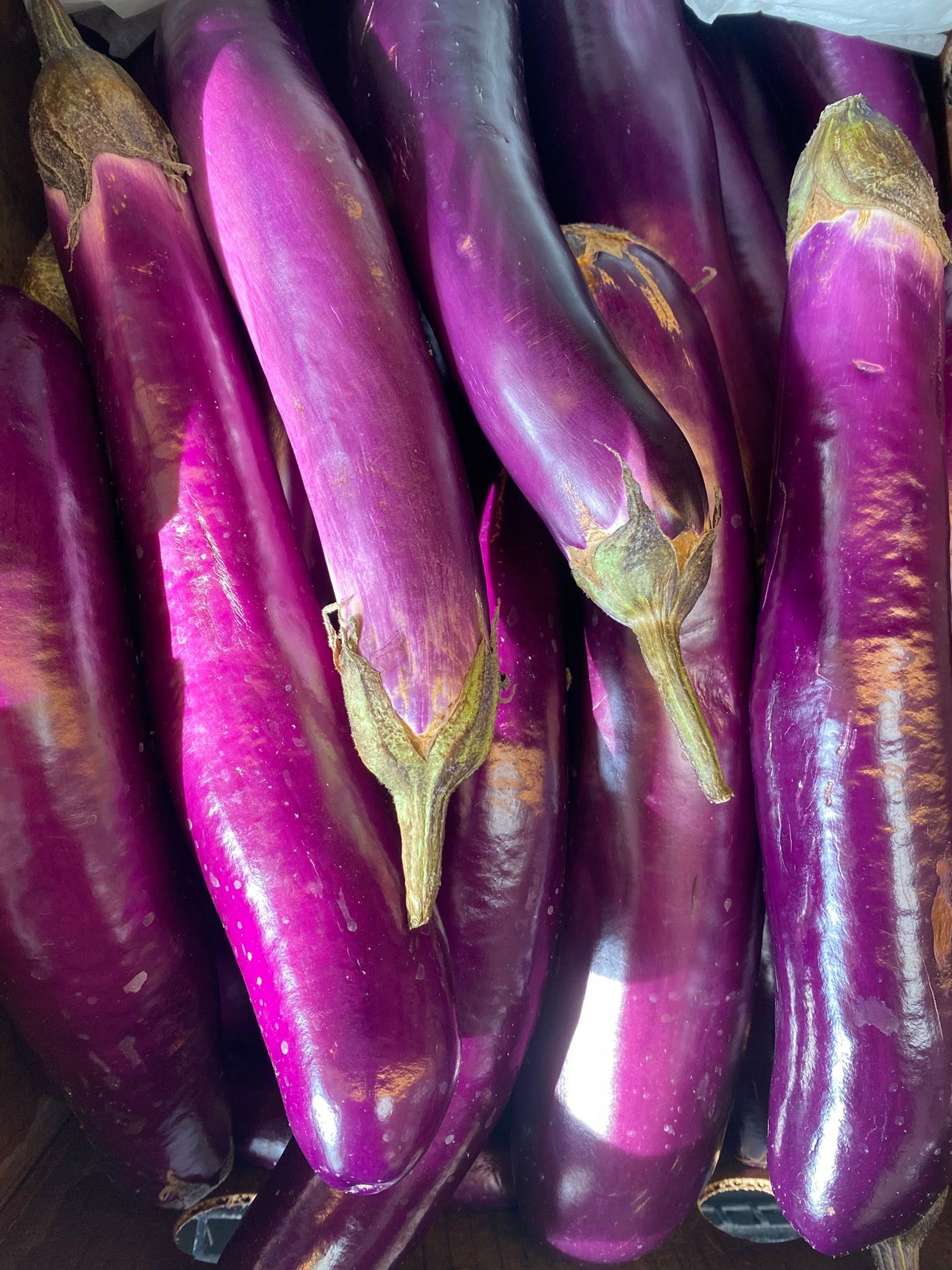 fresh & frozen photographed at S International Market