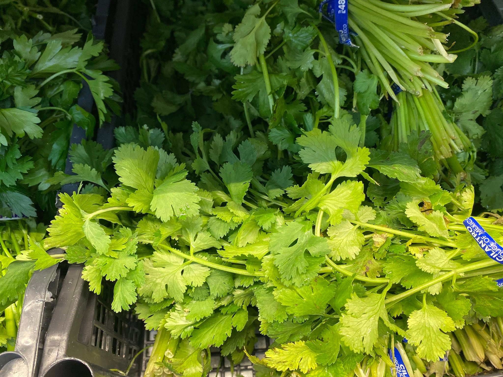 Herbs, roots and peppers at S International Market