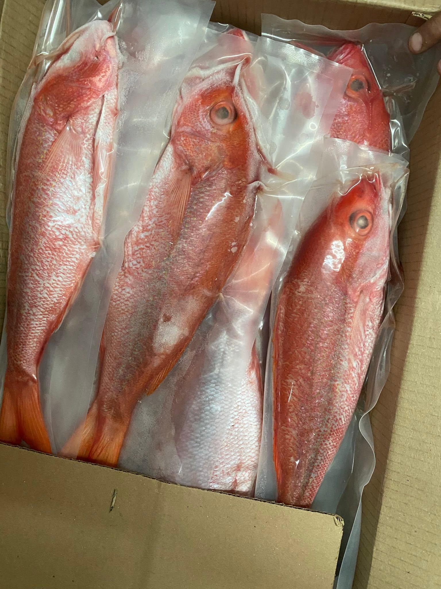Whole fish at S International Market
