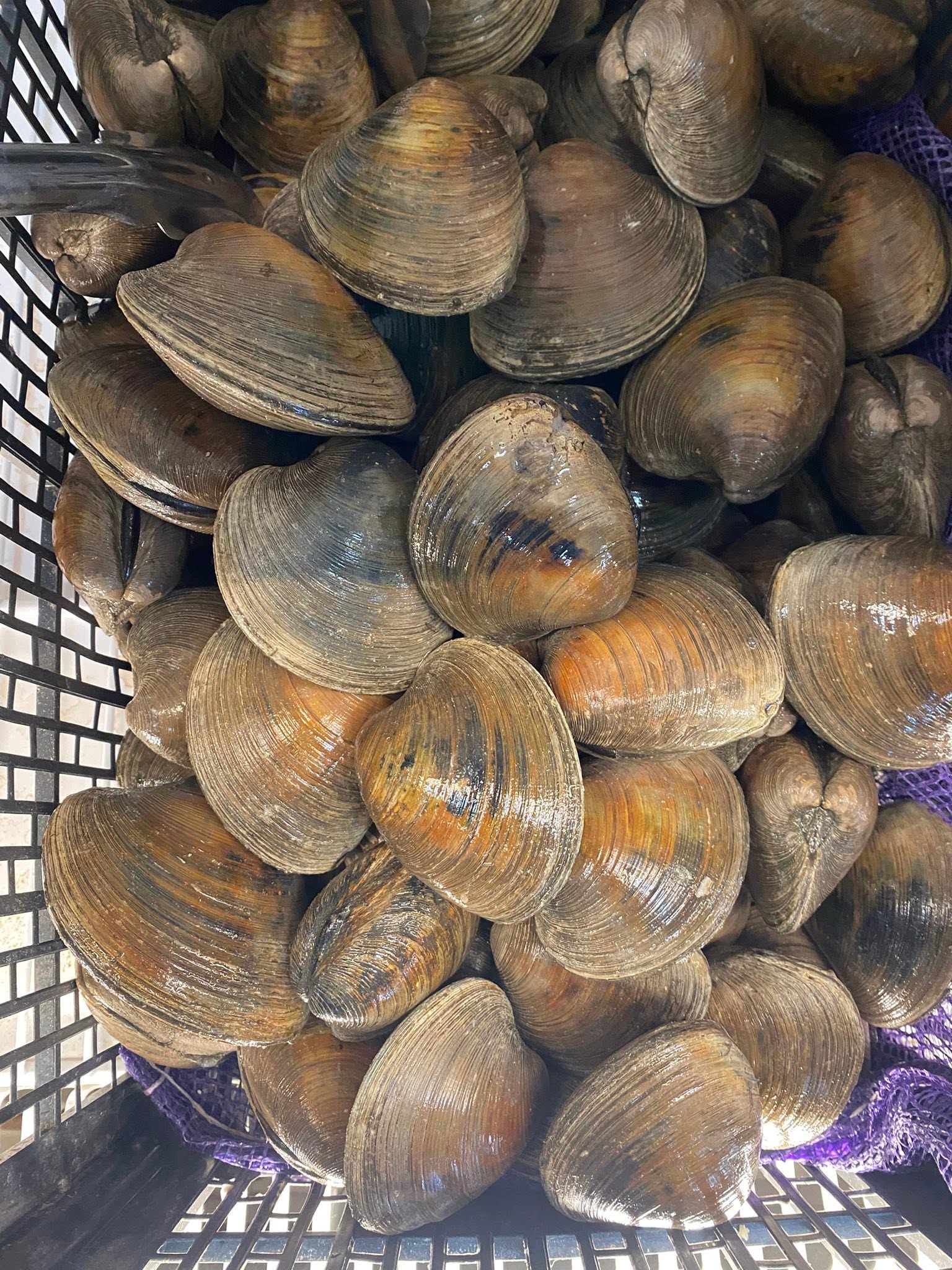 Shellfish selection at S International Market