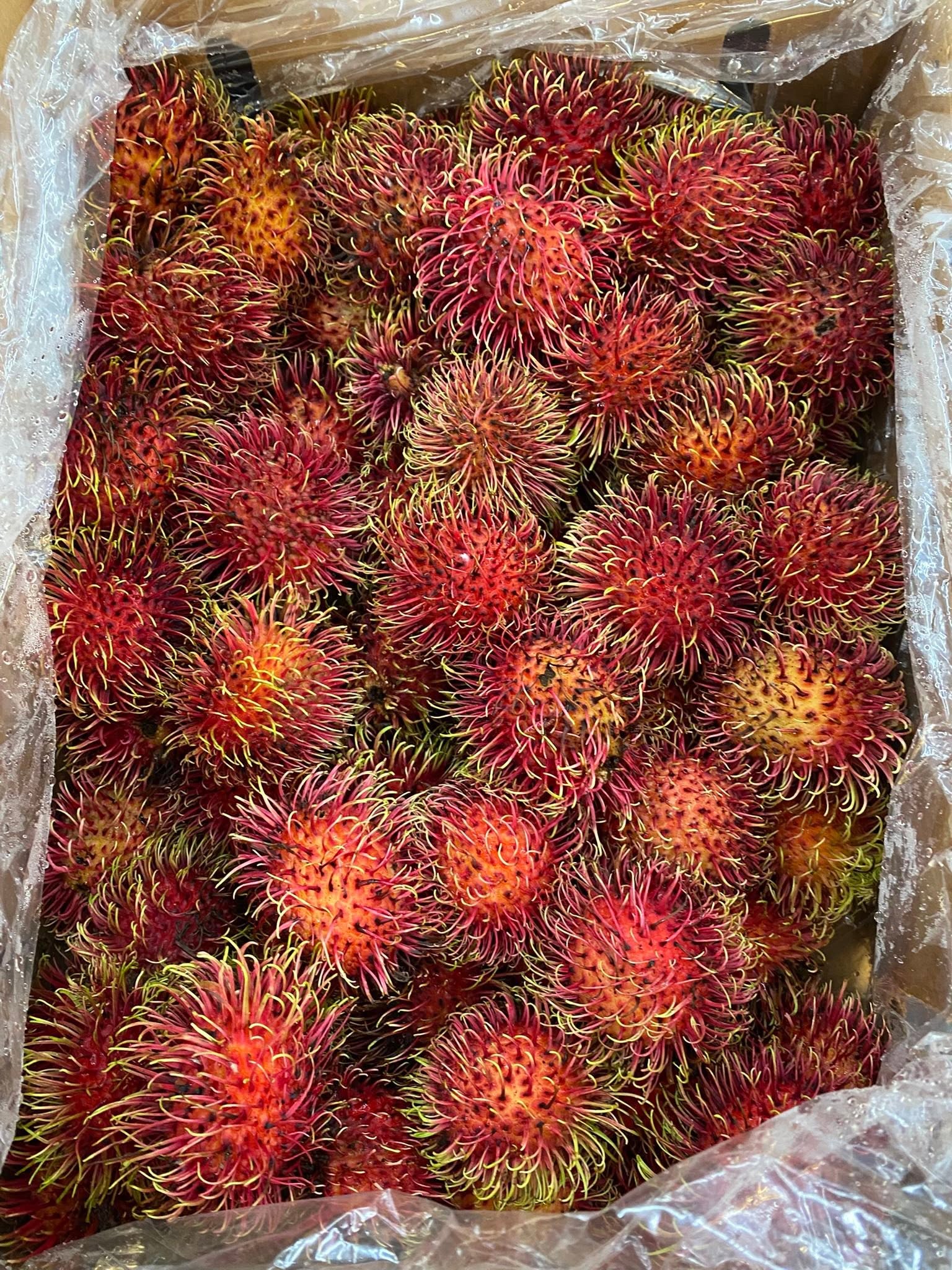 tropical fruit photographed at S International Market