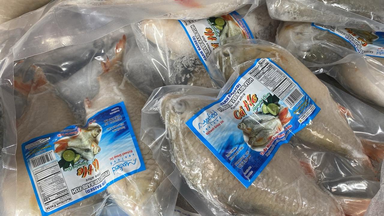 frozen seafood photographed at S International Market