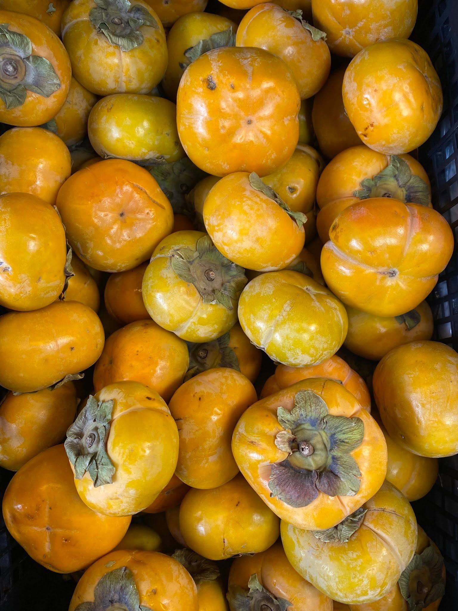 fresh produce photographed at S International Market